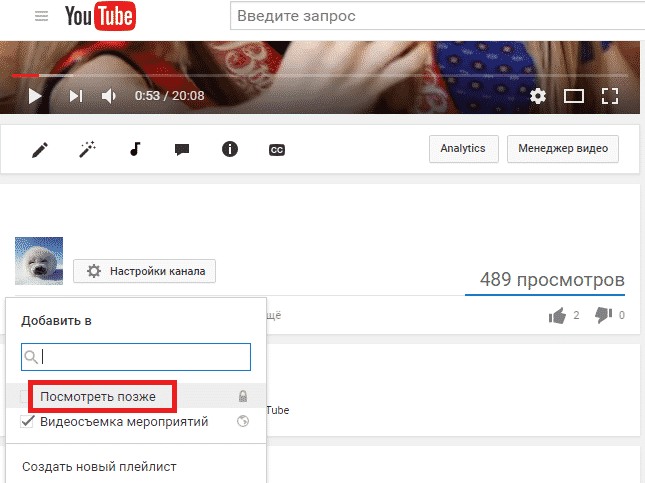youtube, YouTube Red, Тренды, аналитика, аудитория, видео, интернет-маркетинг, реклама, стратегия, видео контент, мобильное видео, советы