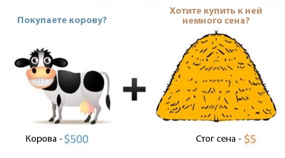 ecommerce, email маркетинг, smm, аудитория, бренды, интернет-маркетинг, контент, продвижение, стратегия, соцсети, распродажи, лояльность, программа лояльности, вовлеченность, таргетинг