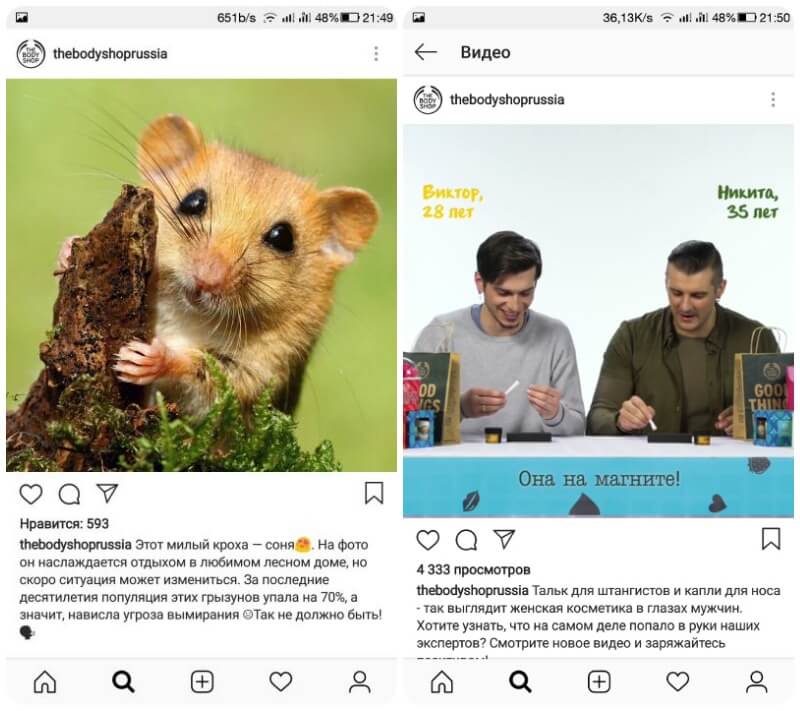 Развлекательный контент