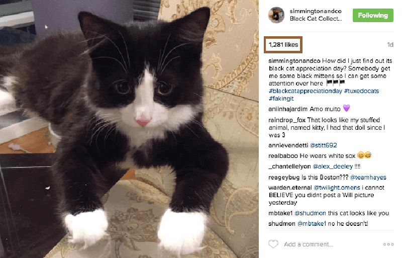 Котики раз