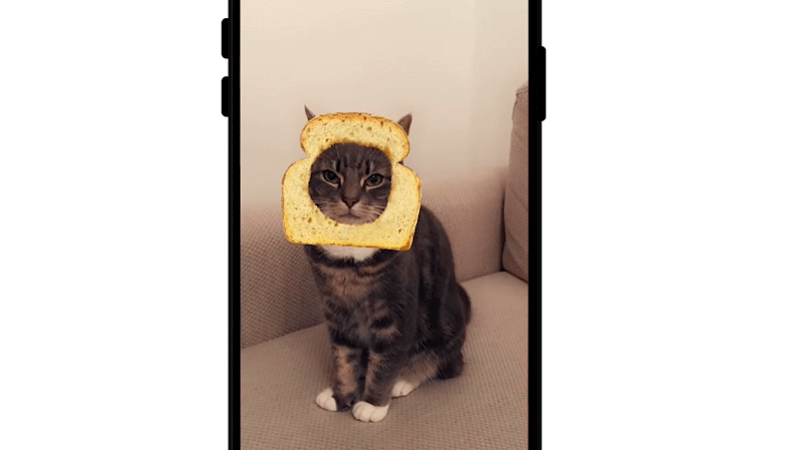 Snapchat позаботился о фильтрах для вашей кошки