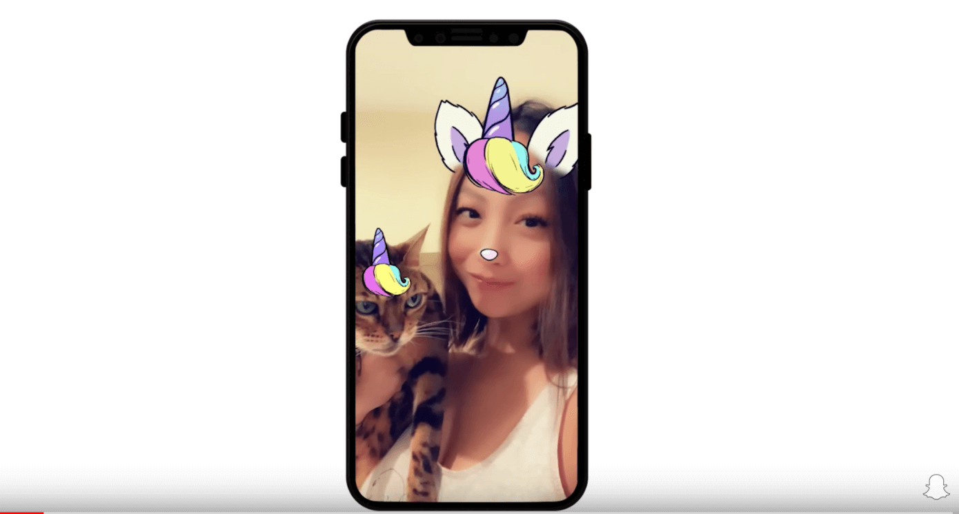 Snapchat и объектив для кошки
