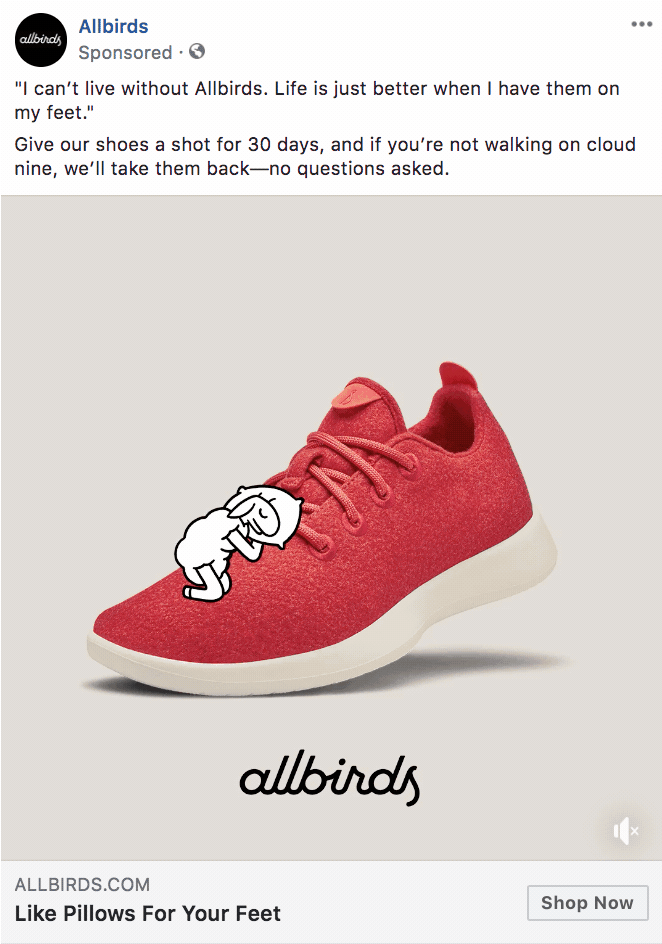 Allbirds