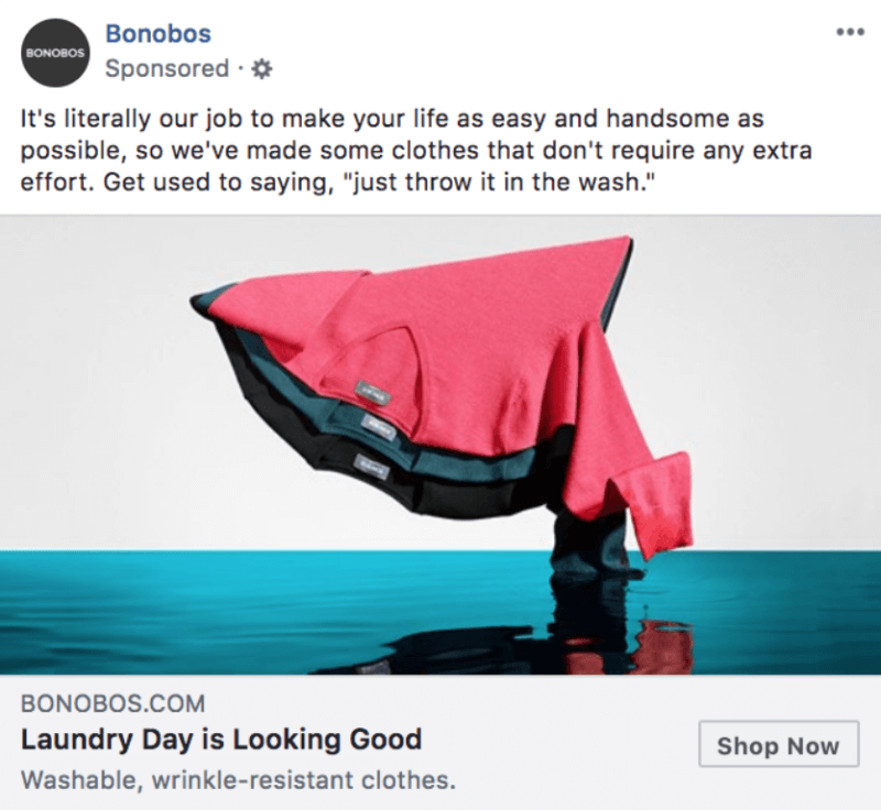 Bonobos