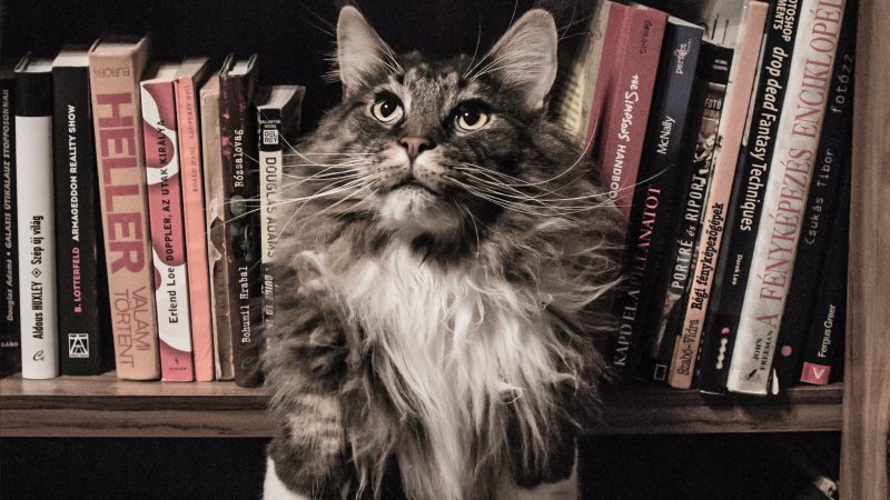 Готовы ли россияне тратить деньги на книги? Исследование